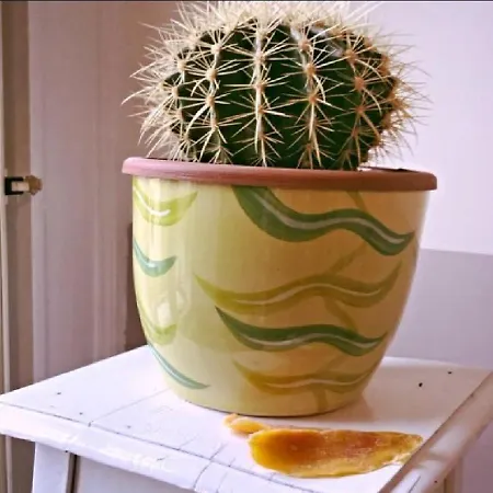 Carafe'&caraspe' Bed & Breakfast