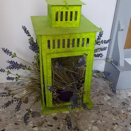 Alojamento de Acomodação e Pequeno-almoço Carafe'&caraspe'