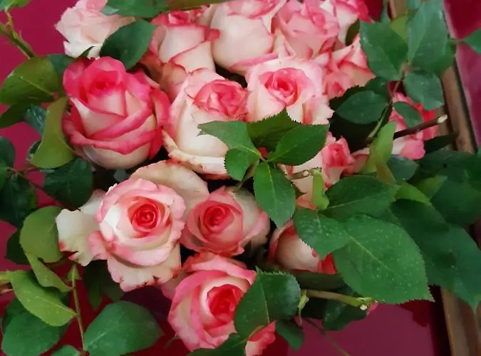 Carafe'&caraspe' فندق مبيت وإفطار نابولي