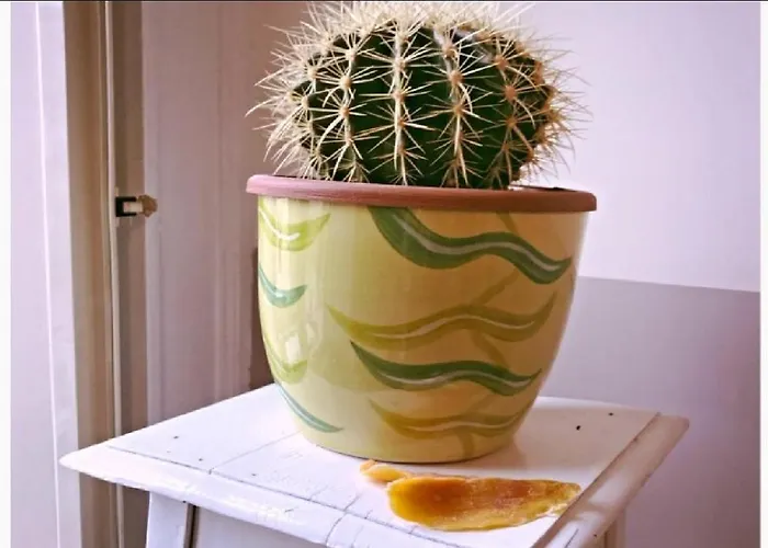 Carafe'&caraspe' فندق مبيت وإفطار